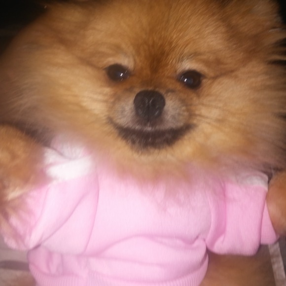 Meet your Posher, E - Picture 1 of 1